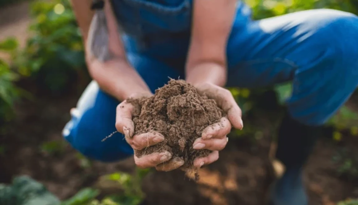 Agricultural Awareness Programs